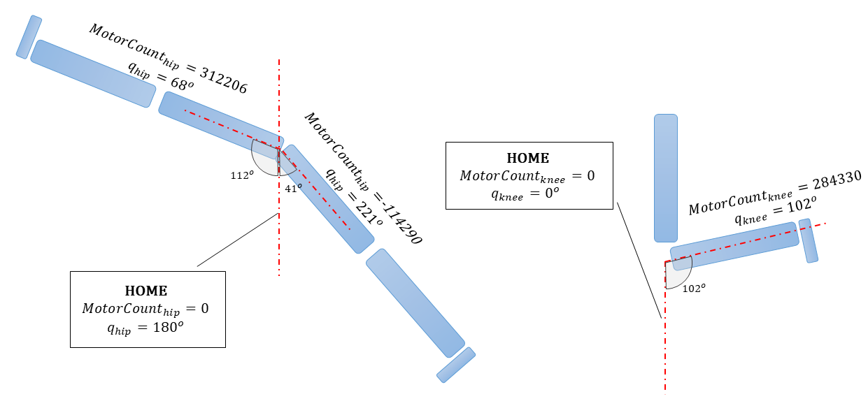 Joint Range of Motion